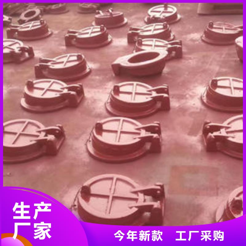 拍门方拍门根据要求定制