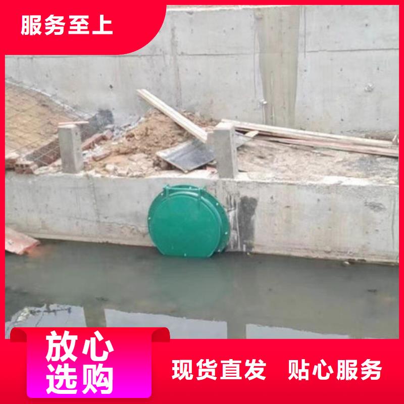 拍门钢拍门多年实力厂家