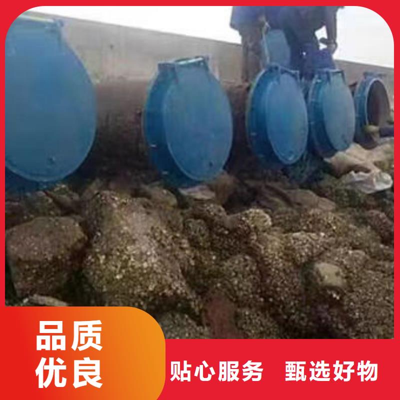 拍门_钢拍门现货供应