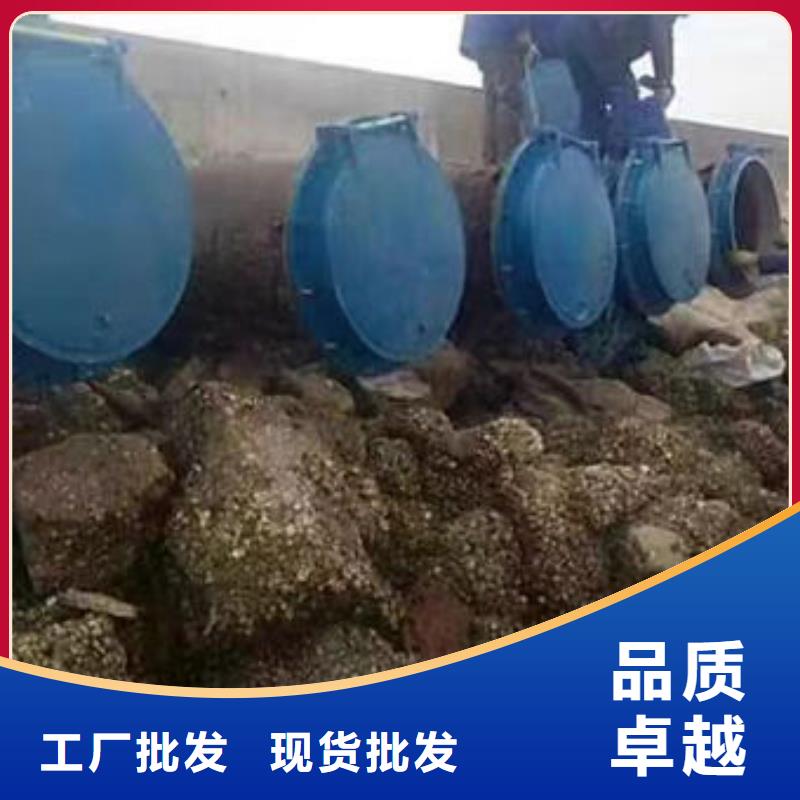 拍门,防倒灌拍门质量层层把关