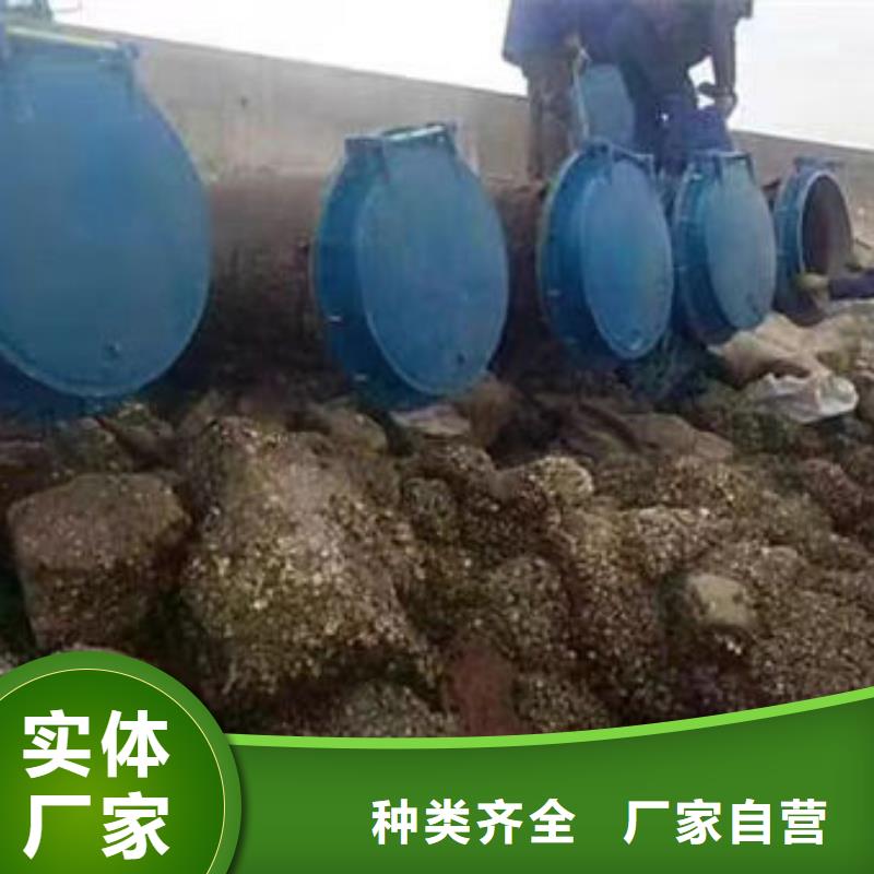 拍门圆拍门研发生产销售