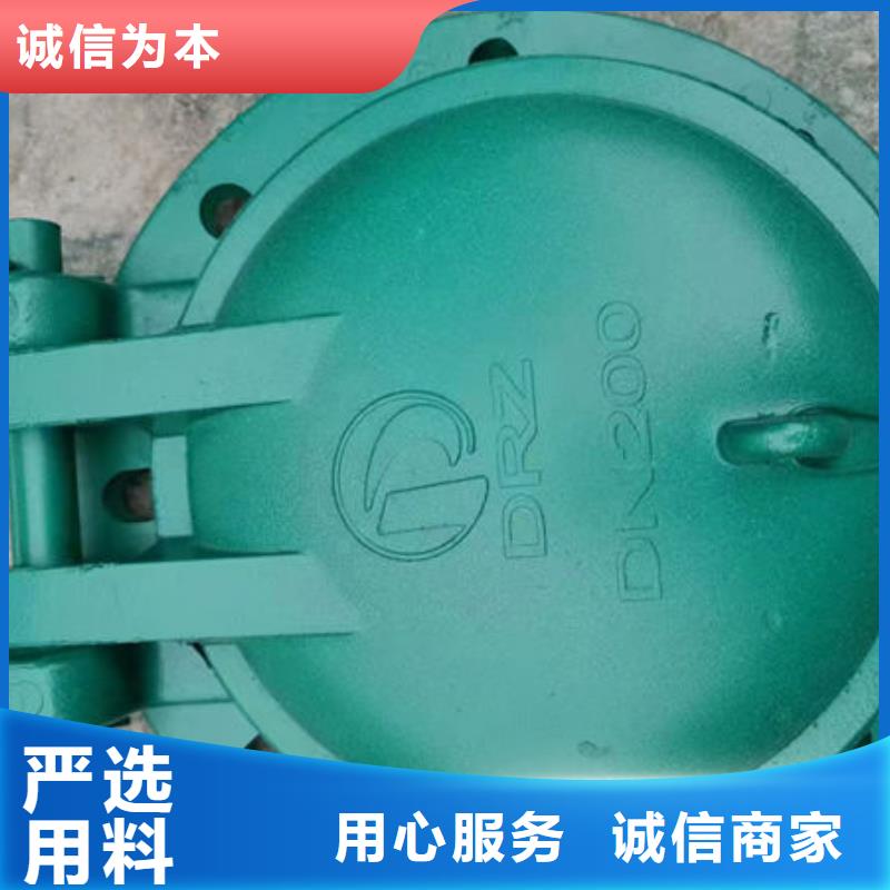 拍门,复合材料拍门用好材做好产品