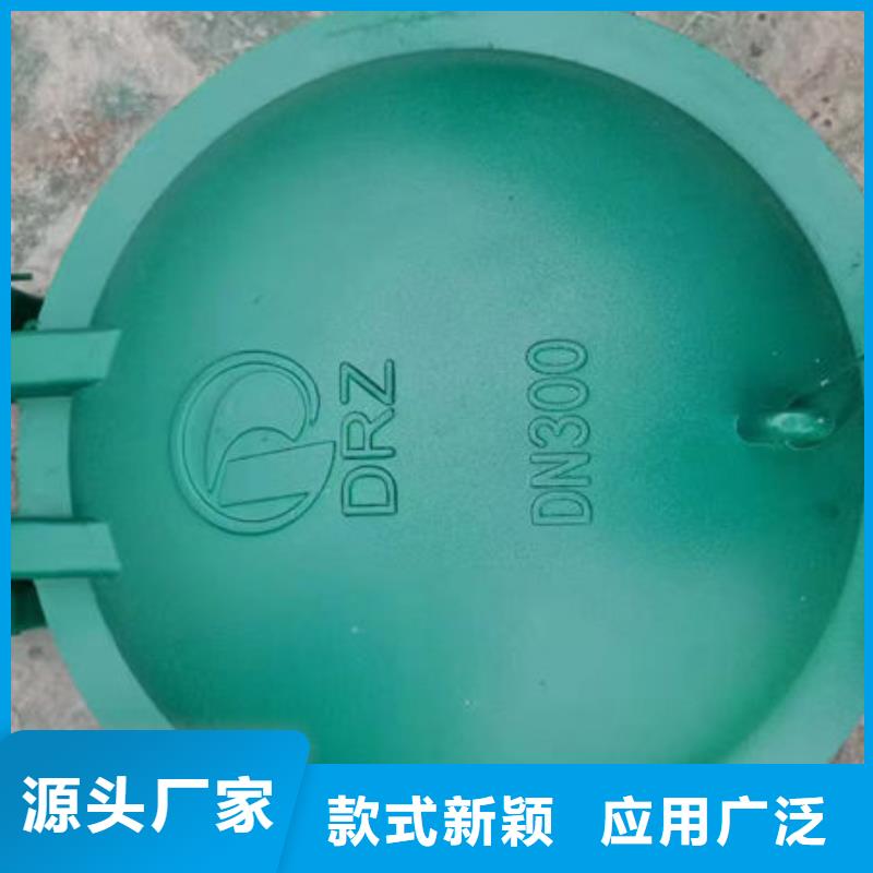 拍门钢拍门支持非标定制