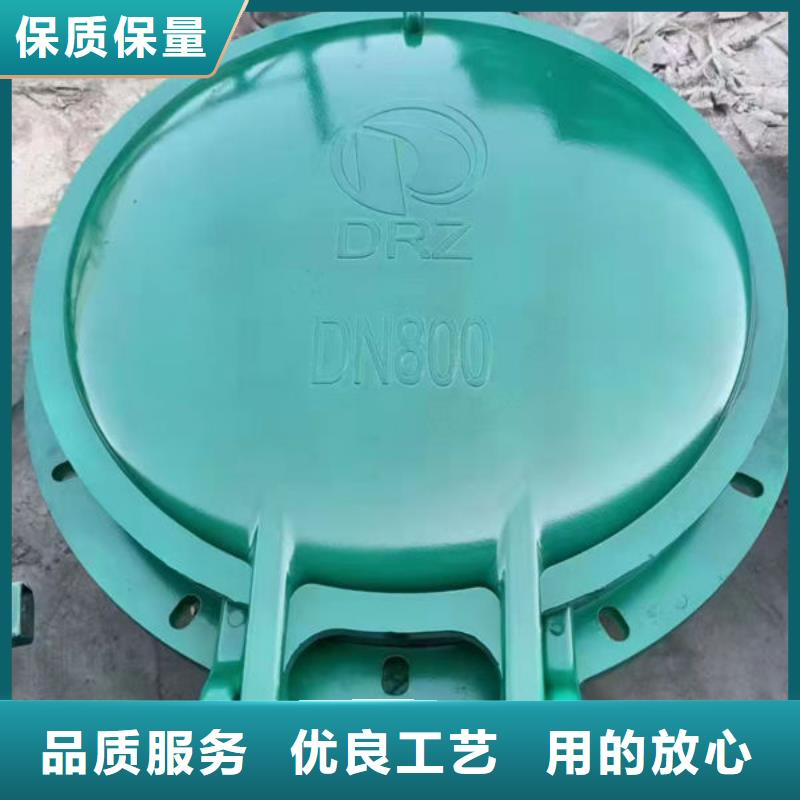 拍门-球墨铸铁拍门多种场景适用