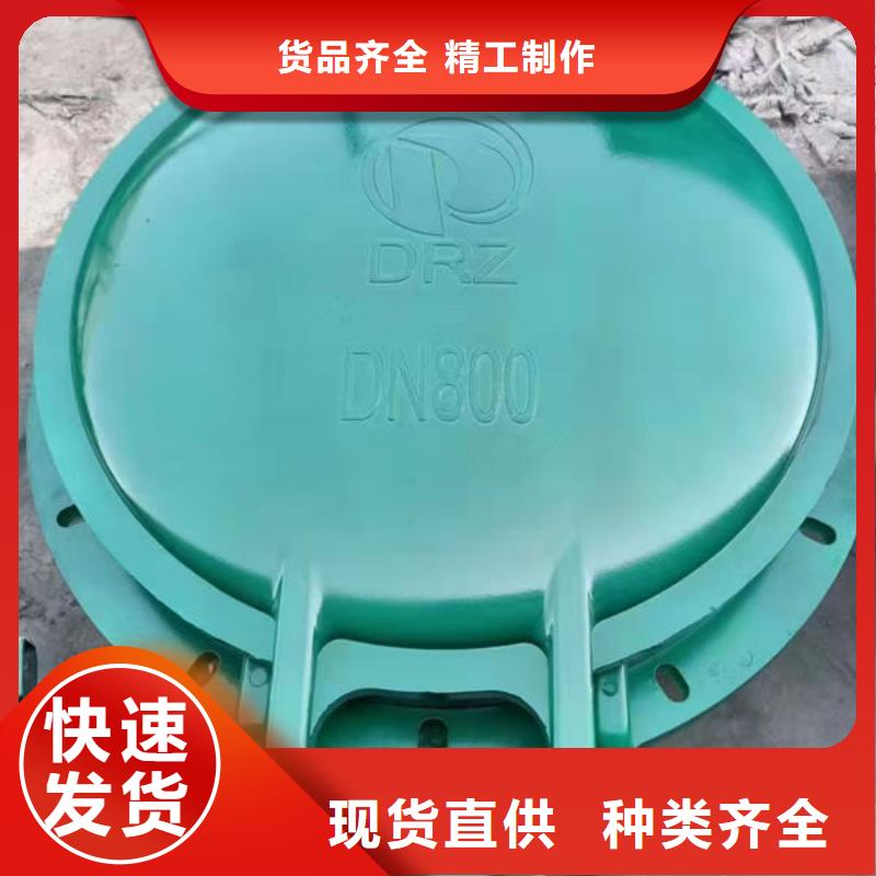 拍门球墨铸铁拍门精心打造