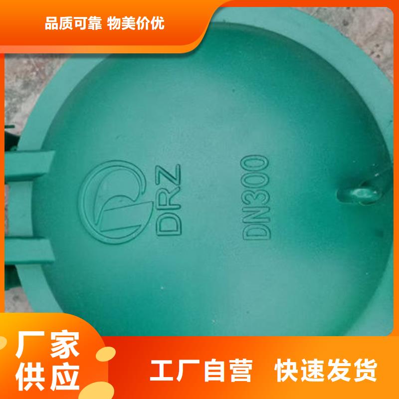 拍门防倒灌拍门一件也发货