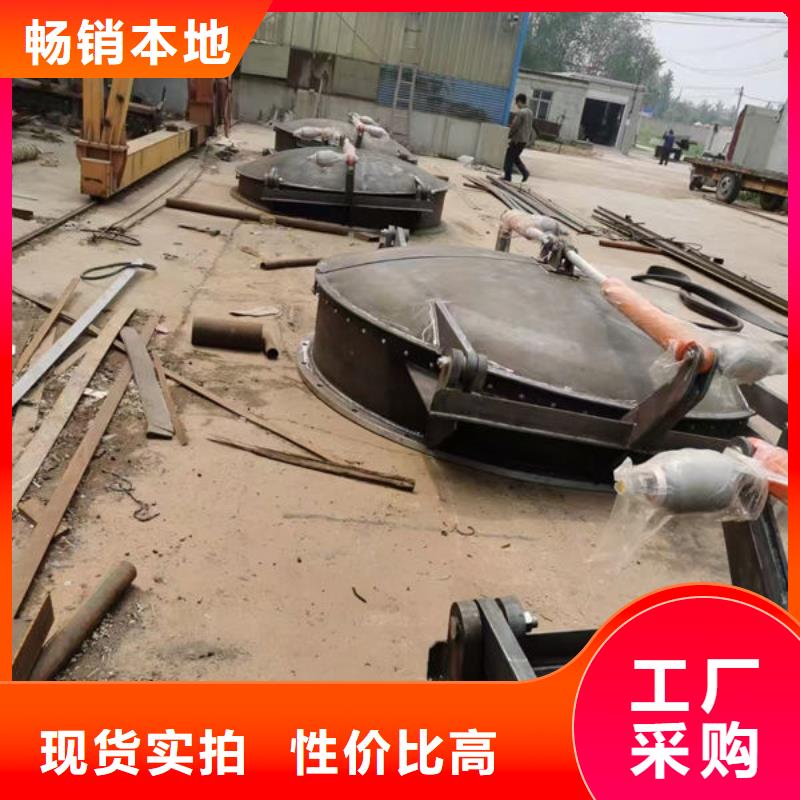 拍门_铸铁拍门多年行业积累