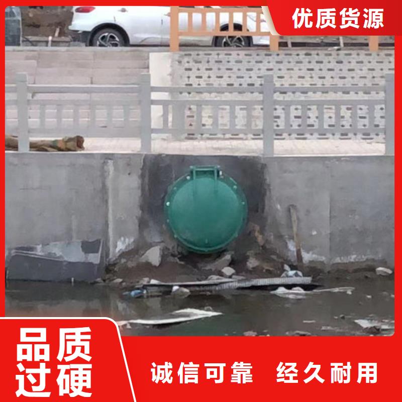 拍门-球墨铸铁拍门N年生产经验