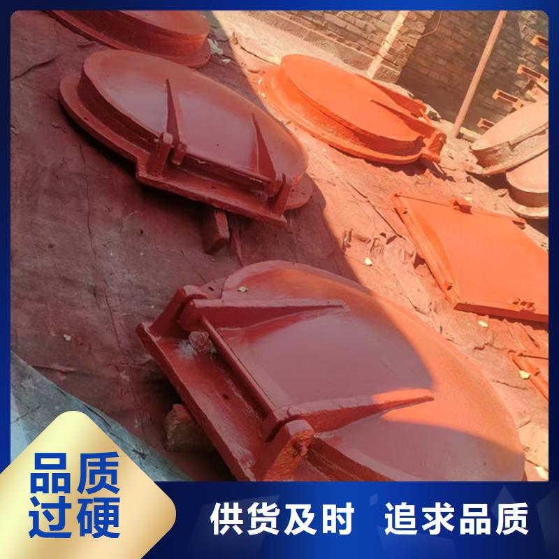 拍门钢拍门用心做好每一件产品