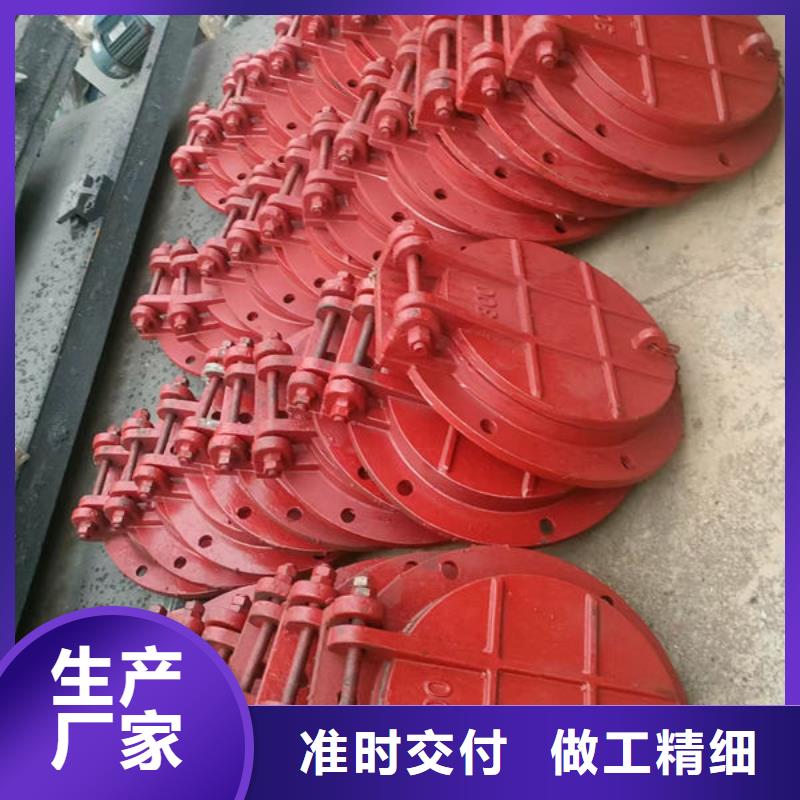 拍门_不锈钢拍门免费获取报价