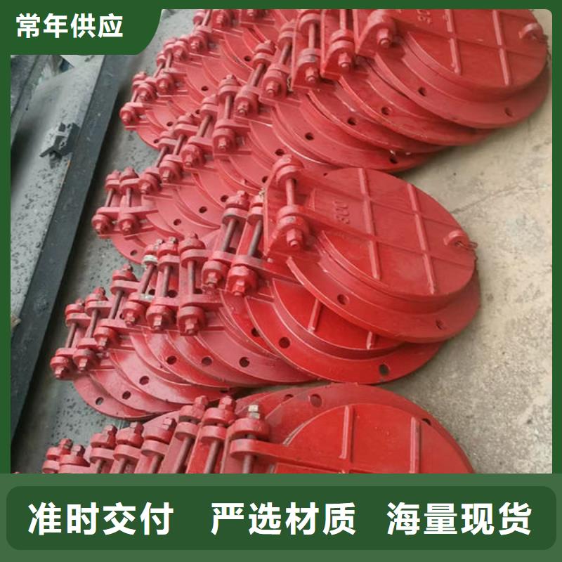 拍门铸铁拍门产地采购