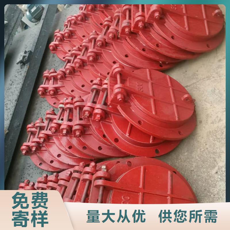 拍门钢制拍门用的放心