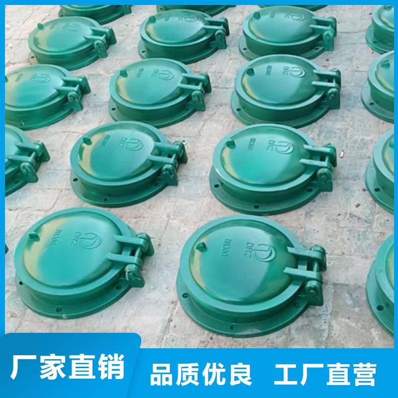 拍门_铸铁拍门专注生产N年