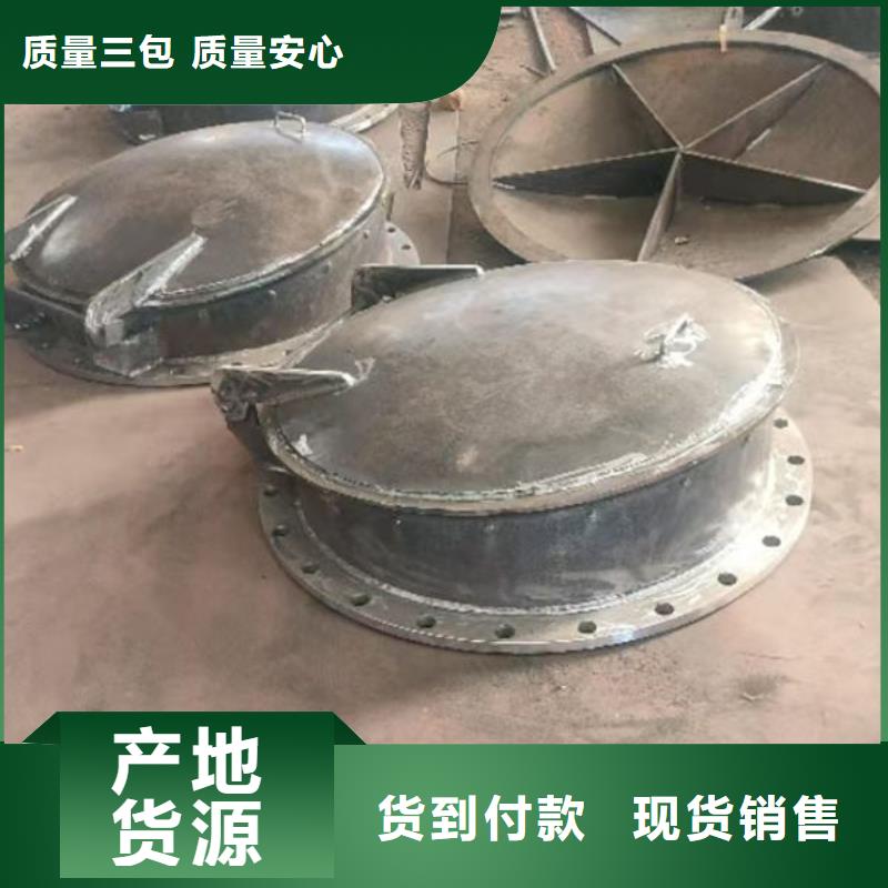 拍门,球墨铸铁拍门库存齐全厂家直供