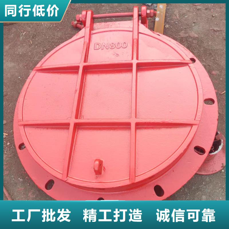 拍门球墨铸铁拍门一站式采购商家