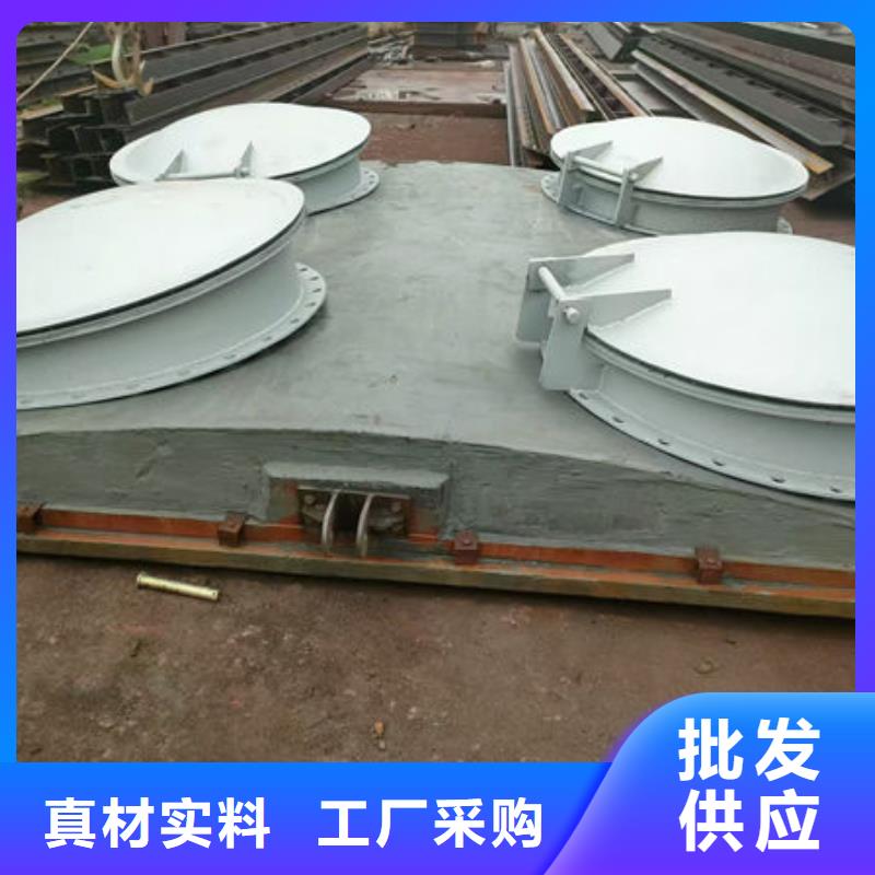拍门钢拍门符合行业标准