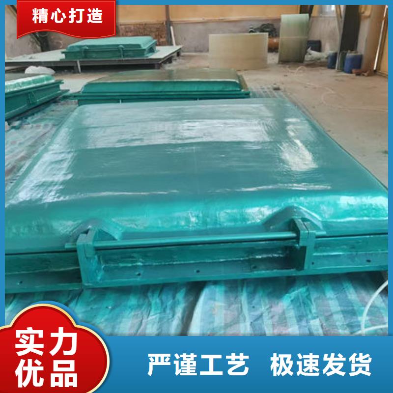 拍门铸铁拍门多年实力厂家
