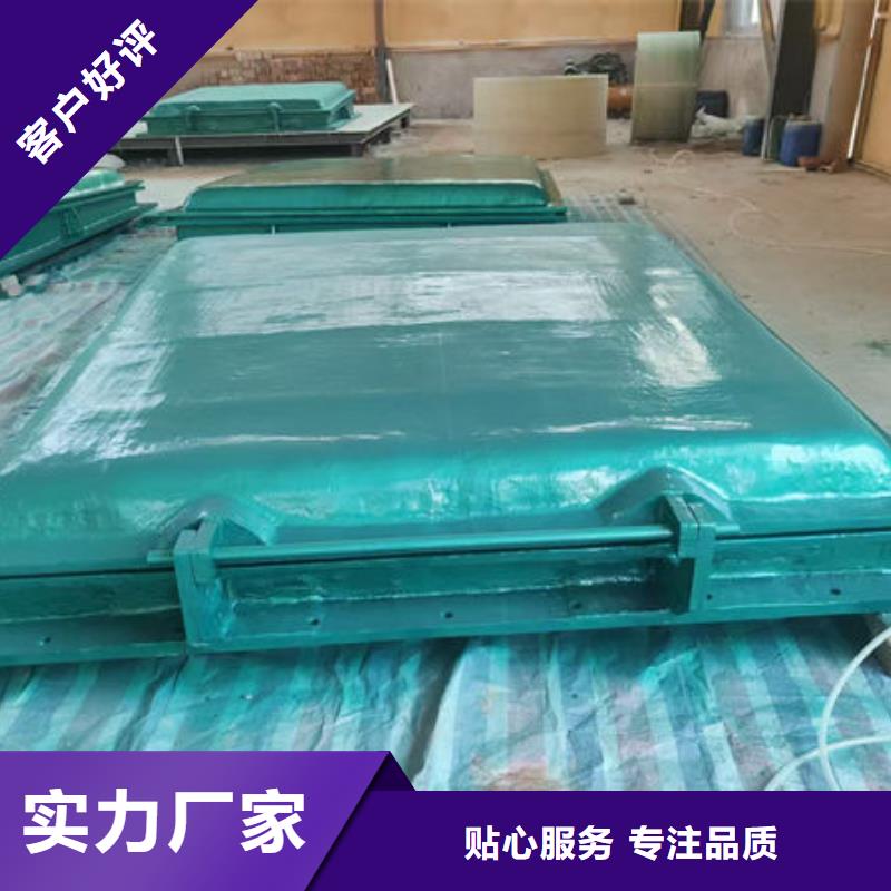 拍门不锈钢拍门高品质现货销售