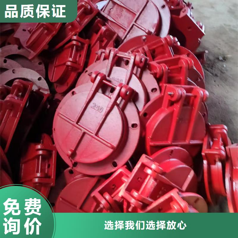 拍门防倒灌拍门价格透明