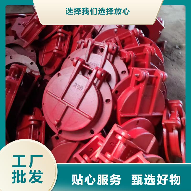 拍门不锈钢拍门欢迎来电咨询