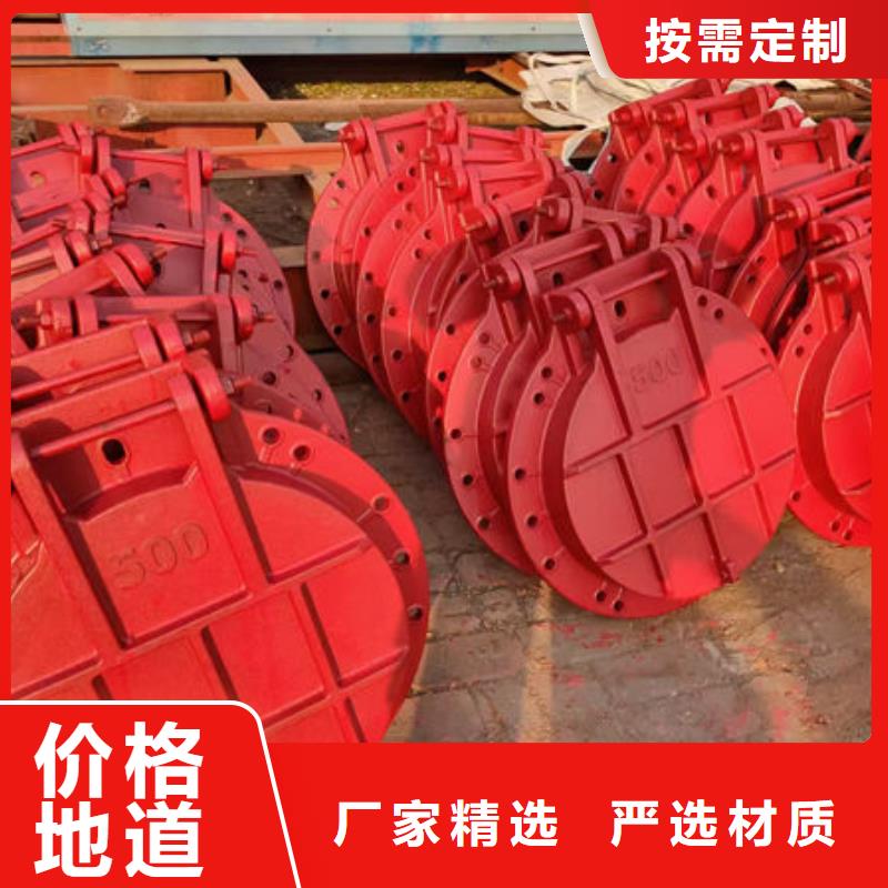拍门不锈钢拍门根据要求定制