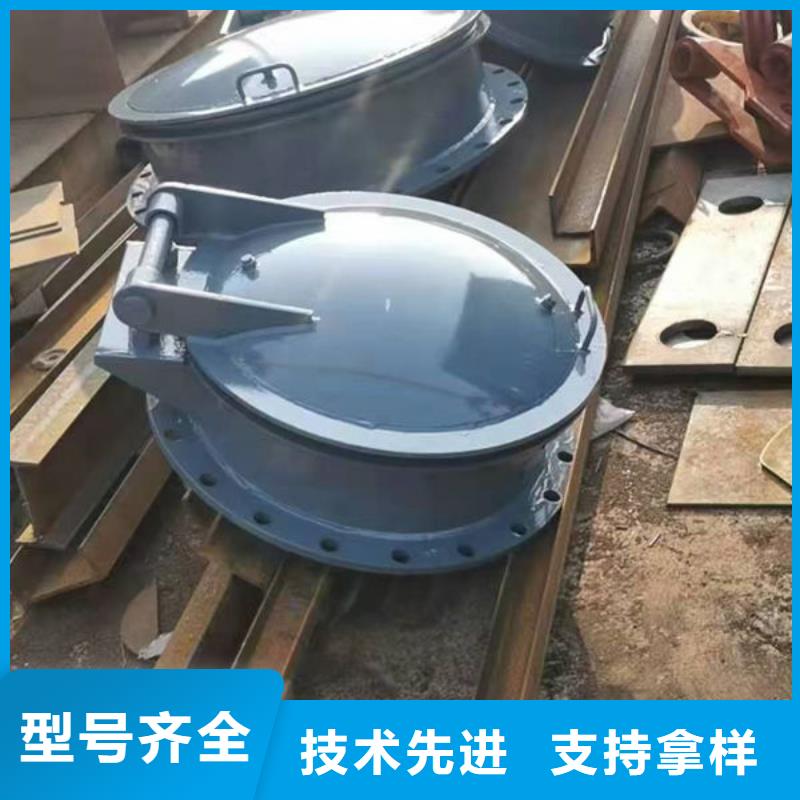 拍门防倒灌拍门高品质诚信厂家