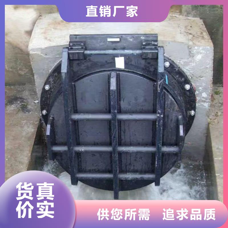 拍门,不锈钢拍门快速物流发货