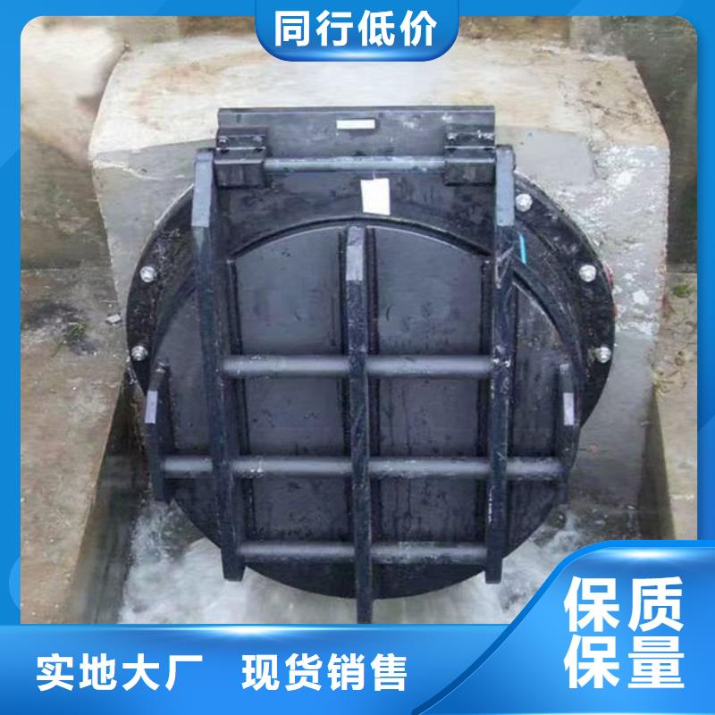 拍门-球墨铸铁拍门N年生产经验