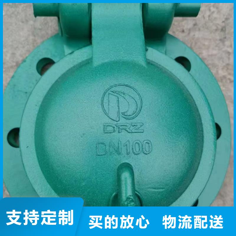 拍门钢拍门货源直供
