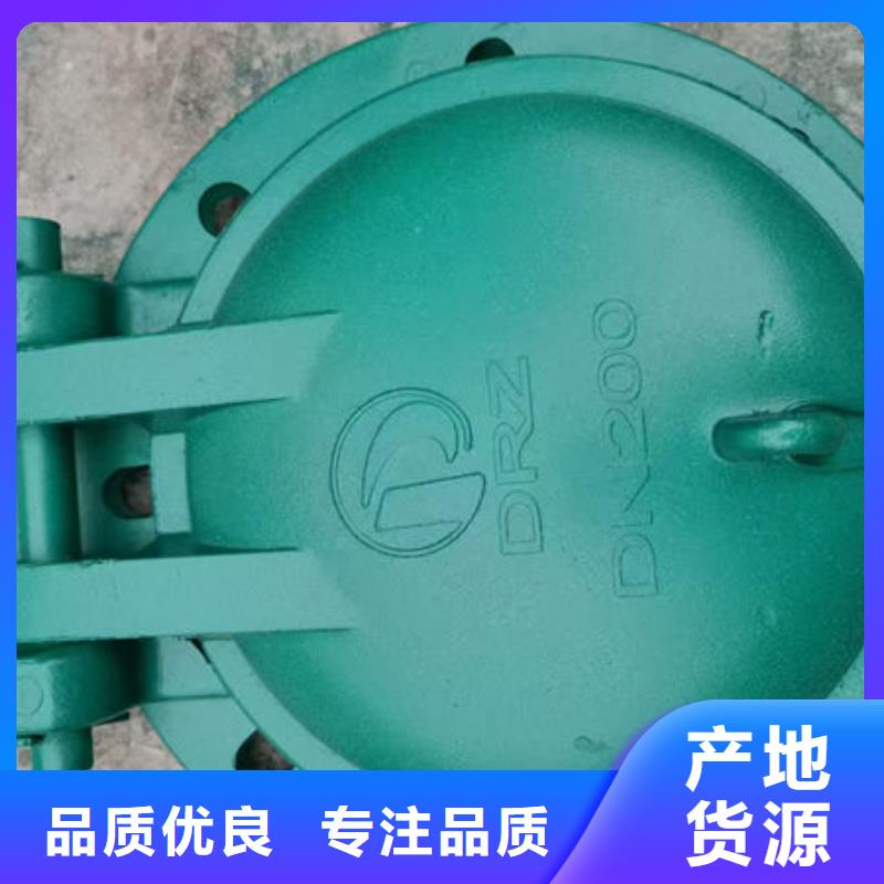 拍门铸铁拍门原厂制造