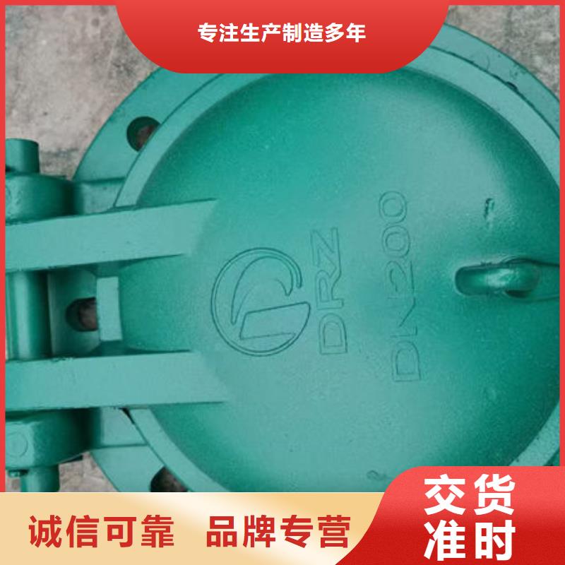 拍门_铸铁拍门颜色尺寸款式定制