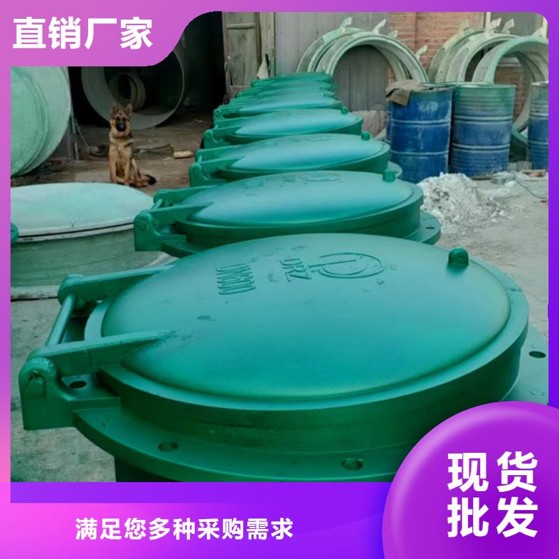 拍门,防倒灌拍门精品选购