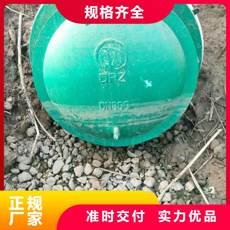 拍门_铸铁拍门原厂制造