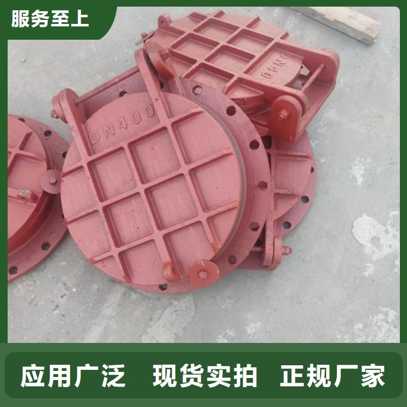 拍门防倒灌拍门精益求精