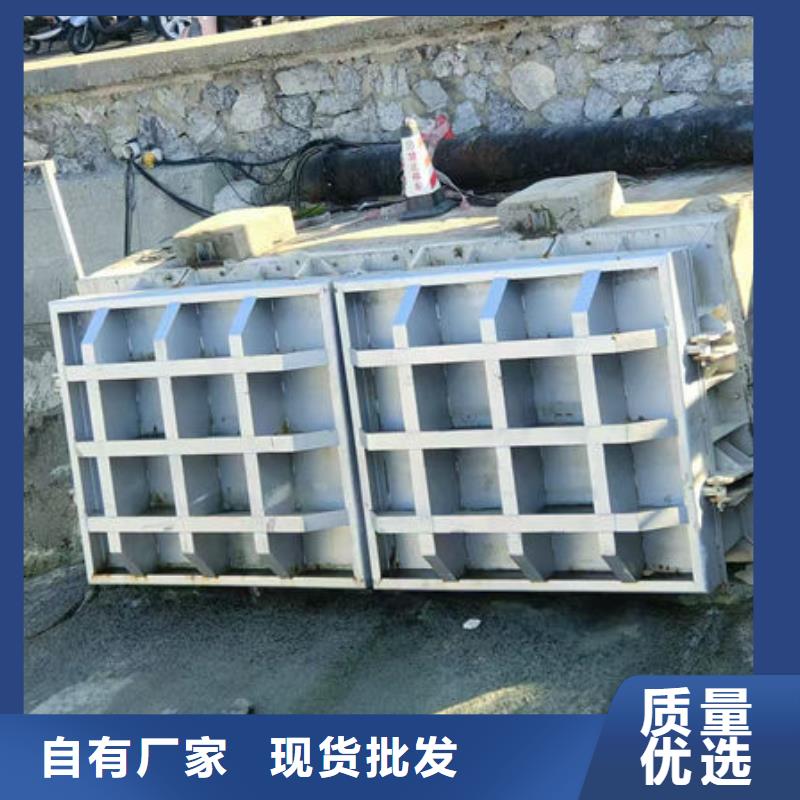 拍门防倒灌拍门精益求精