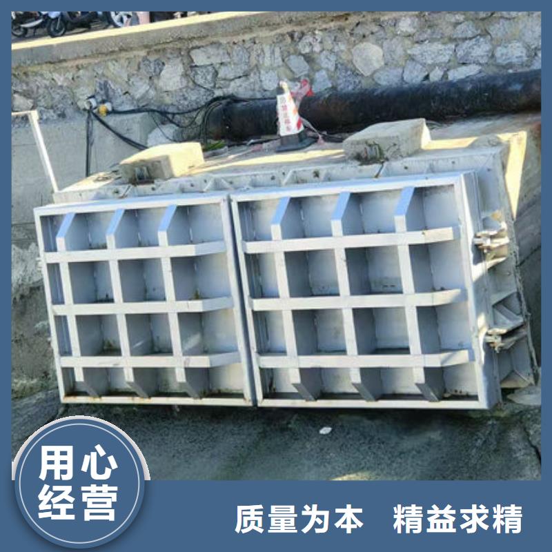 拍门_铸铁拍门原厂制造