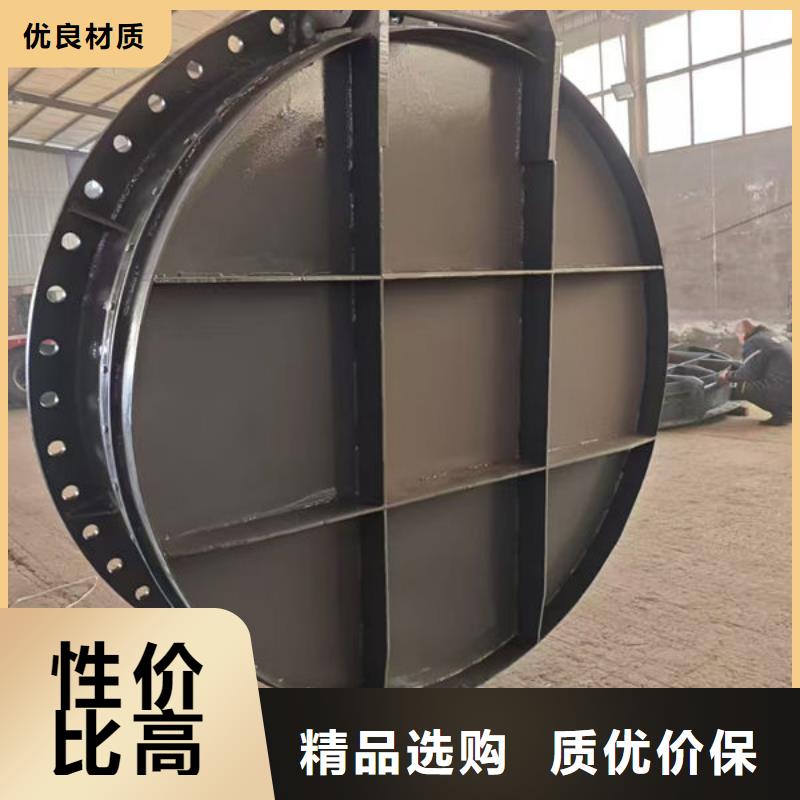 拍门不锈钢拍门厂家批发价