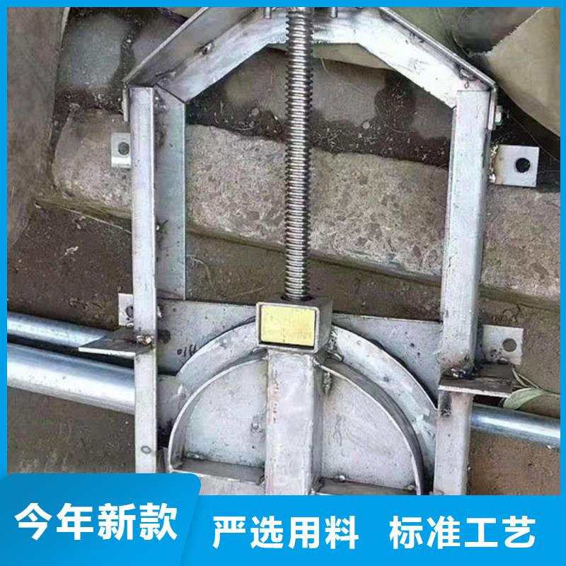 不锈钢闸门-捞污珊懂您所需