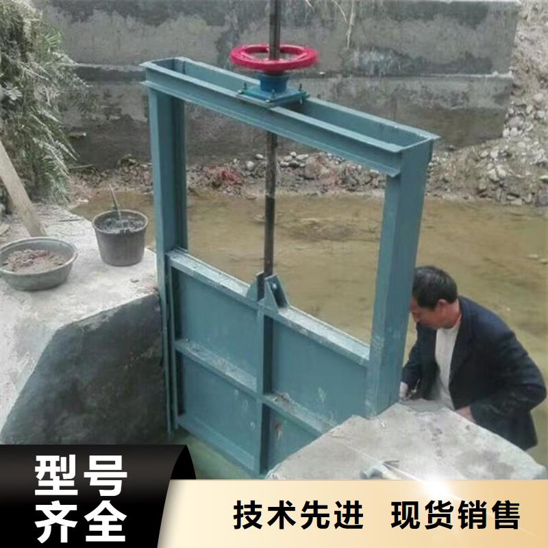不锈钢闸门-捞污珊品质不将就