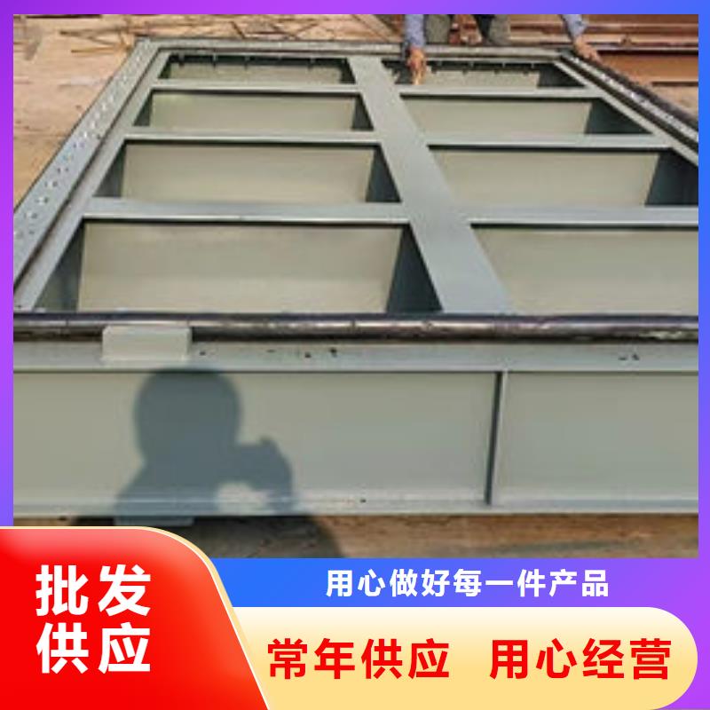 不锈钢闸门钢制渠道闸门匠心品质