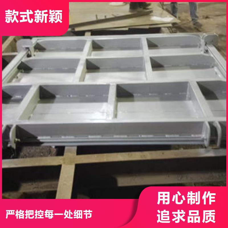 不锈钢闸门捞污珊专业厂家