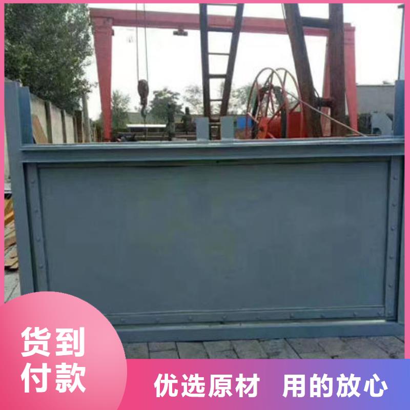 不锈钢闸门-捞污珊品质不将就