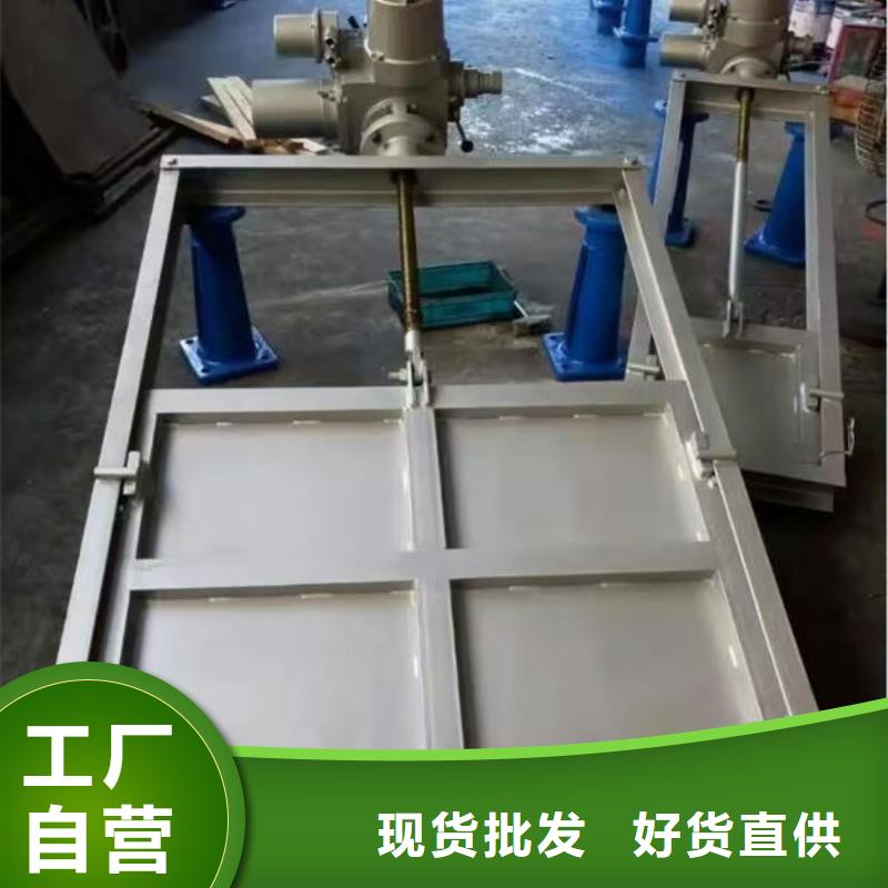 不锈钢闸门-捞污珊制造厂家