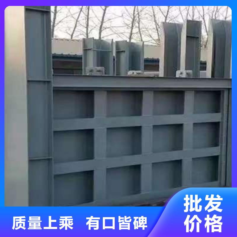 不锈钢闸门捞污珊多种工艺