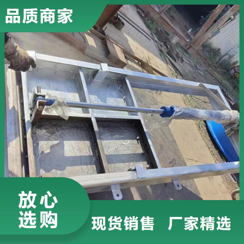 不锈钢闸门捞污珊多种工艺