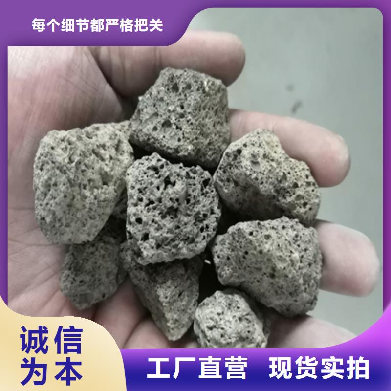 陶粒沸石产品细节