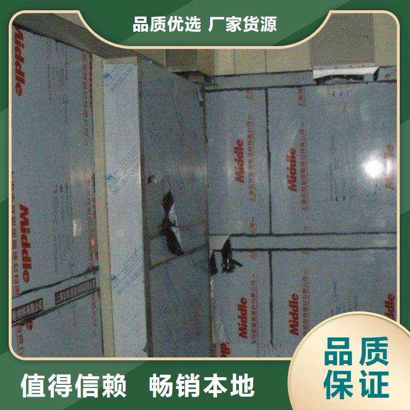 射线防护铅门-气密门实力厂家