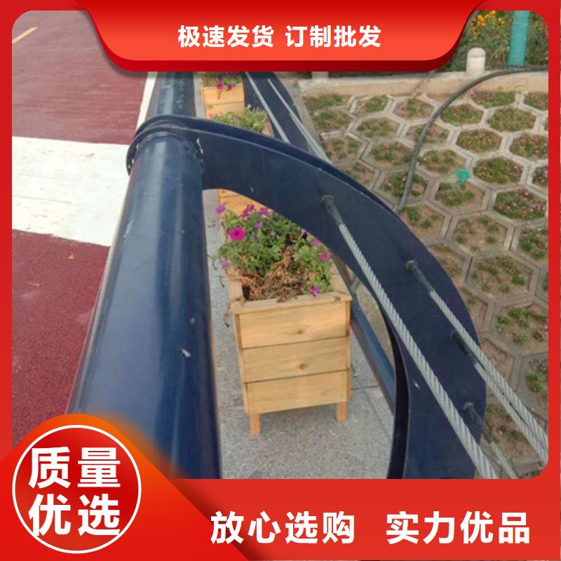 桥梁护栏_【市政道路防护栏】厂家实力大