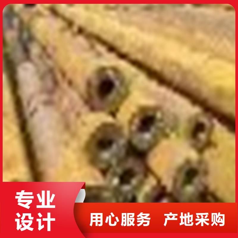 无缝钢管镀锌带方管厂家让利客户