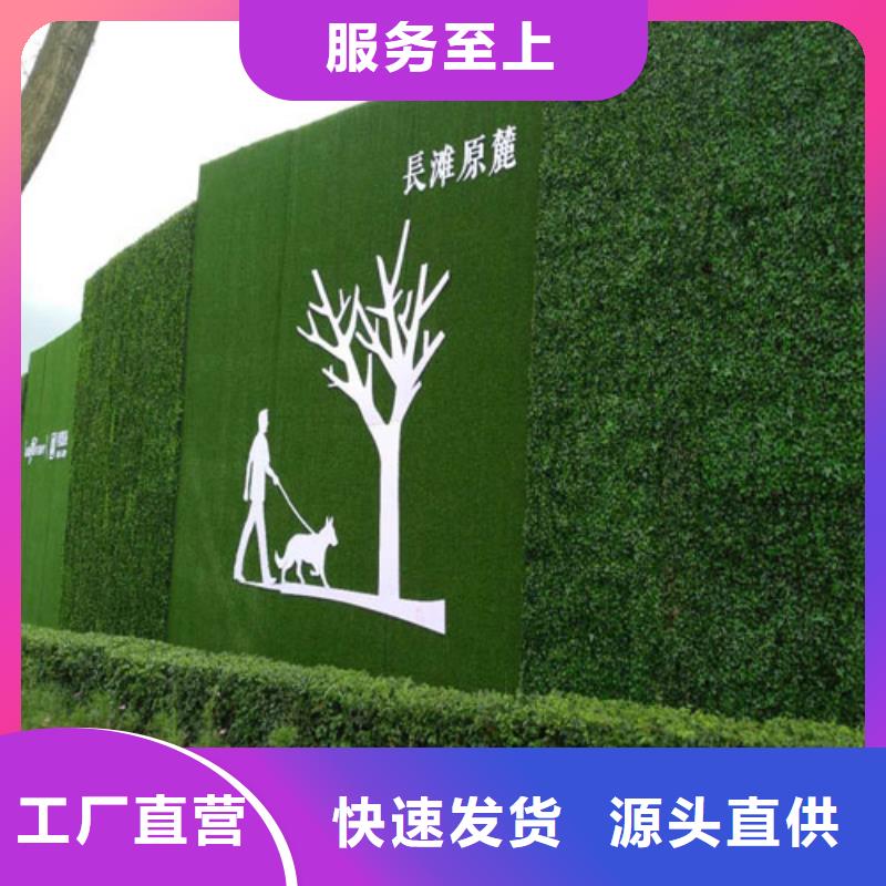 草坪围挡,人工草坪围挡实力才是硬道理